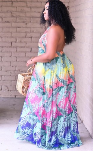 Floral Halter Low Back Plus Size Pleated Maxi Dress