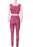 Zebra Hot Pink Sexy Crop Top and Pants 2pcs Set