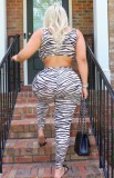 Zebra Black Sexy Crop Top and Pants 2pcs Set