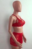 Sexy Red Lace Panel Bra Top and Shorts 2PCS Set