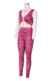 Zebra Hot Pink Sexy Crop Top and Pants 2pcs Set