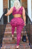 Zebra Hot Pink Sexy Crop Top and Pants 2pcs Set