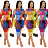 Multi Color Print Long Sleeve Sexy Bodycon Dress