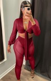 Red See Through Mesh Sexy Crop Top and Pants Two Pieces