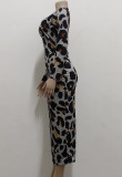 Leopard Slim Fit Midi Dress with Matching Belt