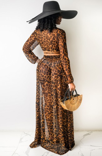Leopard Print Long Sleeve Crop Top and Long Skirt 2PCS Set