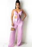 Pink Striped Tie Front Crop Top and High Waist Wide Pants 2PCS