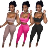 Rose Knotted Slim Fit Crop Top and Pants Two Pieces Set