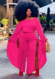 Plus Size Rose Long Sleeve Crop Top and Slit Pants Two Piece Set
