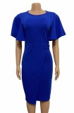 Professional Blue Ruffle Sleeves Pencil Office Dress