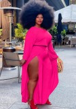Plus Size Rose Long Sleeve Crop Top and Slit Pants Two Piece Set