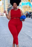 Plus Size Red Sleeveless Crop Top and Elasticated Pants Two Pieces