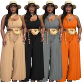 Orange Sleeveless Hollow Out Crop Top and Loose Pants Two Pieces