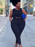 Plus Size Black Sleeveless Crop Top and Elasticated Pants Two Pieces
