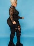 Plus Size Black Ripped High Waisted Flare Jeans