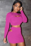 Purple Hollow Out Long Sleeve Crop Top and Skirt Two Piece Outfits