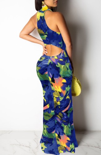 Polychrome Print Sleeveless Slim Fit Maxi Dress