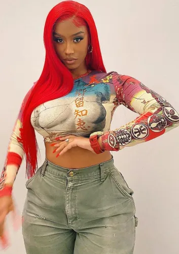 Print O-Neck Long Sleeve Crop Top