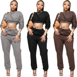 Black Casual Long Sleeve Crop Top and Pants Two Pieces