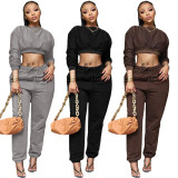 Gray Casual Long Sleeve Crop Top and Pants Two Pieces