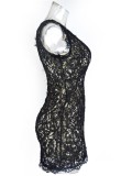 Black Deep-V Sleeveless Lace Slim Fit Dress