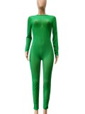 Green See Through Long Sleeves O-Neck Slinky Jumpsuit