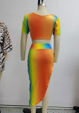 Polychrome Knotted Crop Top and Asymmetric Maxi Skirt Two Piece Set