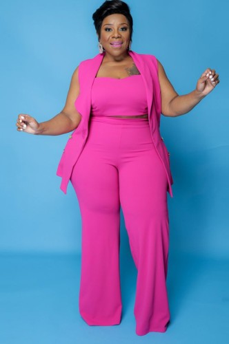 Plus Size Pink Crop Top with Sleeveless Turndown Collar Blazer and Wide Pants 3 pcs Set