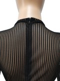Black See Through Long Sleeves O-Neck Slinky Jumpsuit