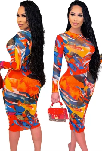 Multicolor Long Sleeve O-Neck Skinny Midi Dress