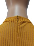 Yellow See Through Long Sleeves O-Neck Slinky Jumpsuit