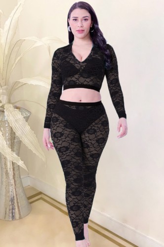 Black Lace V-neck See Through Long Sleeve Crop Top and Pant Two Piece Set