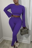 Purple Ribbed Long Flare Sleeve Crop Top and Sheath Pant 2 Piece Set