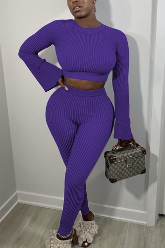 Purple Ribbed Long Flare Sleeve Crop Top and Sheath Pant 2 Piece Set