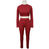 Red Ribbed Long Flare Sleeve Crop Top and Sheath Pant 2 Piece Set