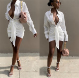 White Ruched Deep-V Long Sleeve Blouse Dress