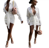 White Ruched Deep-V Long Sleeve Blouse Dress