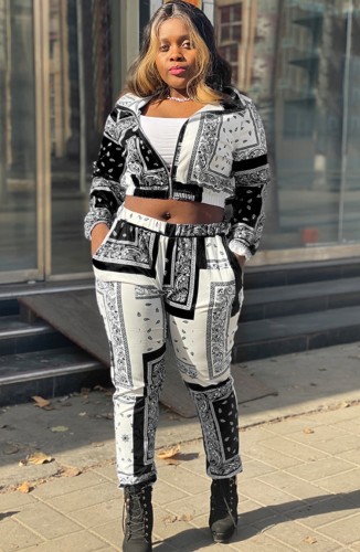 Print Long Sleeve Zipper Crop Top and Pants 2PCS Set