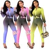 Gradient Pink Long Sleeve Button Up Blouse and High Waist Slim Fit Pants Two Piece Set