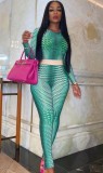 Green Snake Skin Printed Long Sleeve Top and Tight Pants Two Piece Set