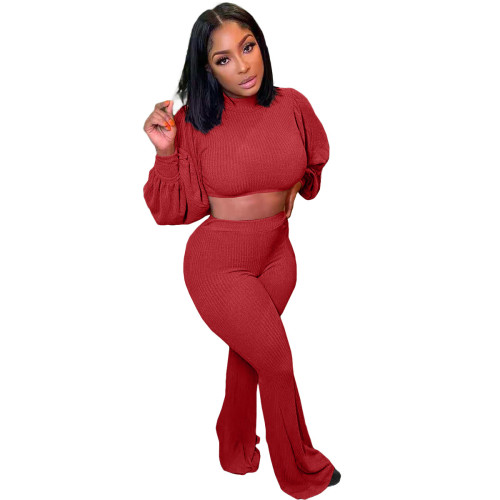 Knitted Burgundy Crop Top and Flare Pants Two Piece Set