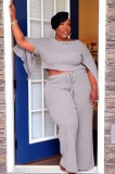 Plus Size Grey Slit Long Sleeve O-Neck Top and Wide Pant Two Piece Set