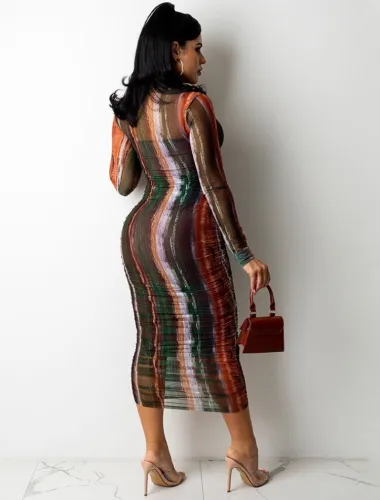 Print Long Sleeve High Neck Long Dress