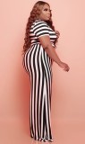 Plus Size Stripe Short Sleeve Crop Top and Loose Pant Two Piece Set