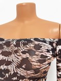 Leopard Print Off Shoulder Long Sleeve Irregular Top and Pant Two Piece Set