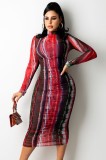 Print Long Sleeve High Neck Long Dress