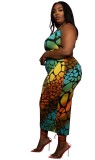 Plus Size Multicolor Print Tank Crop Top and Long Dress Two Piece Set
