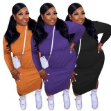 Plus Size Purple Knit High Neck Long Sleeve Midi Bodycon Dress