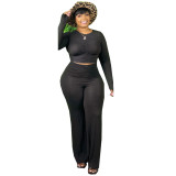 Plus Size Black Ruched Crop Top and Pants Two Piece Set