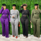 Plus Size Green Ruched Crop Top and Pants Two Piece Set